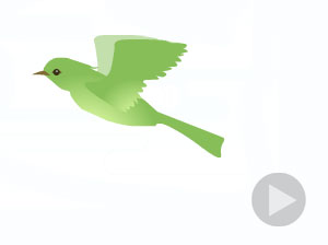 ������� �� �������� ��� ���������������